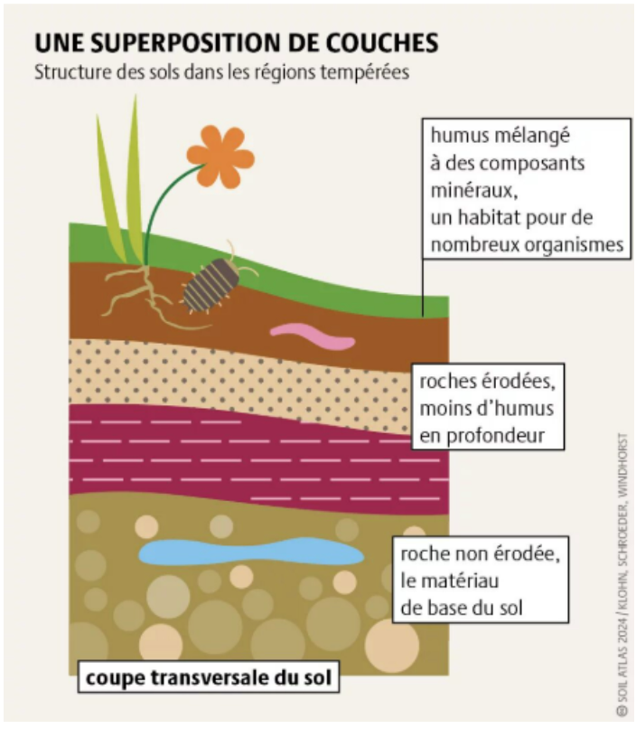 Exemple de schéma RGAA conforme avec textures différenciant les couleurs