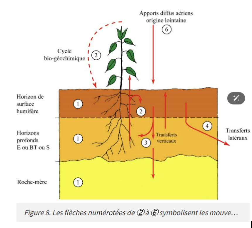 Exemple de schéma non conforme RGAA basé uniquement sur la couleur